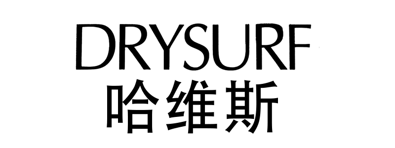 S˹